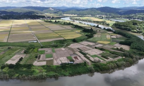 氨水罐厂家-【安徽氨水价格】瓶装氨气价格 - 铵水瓶装价格网