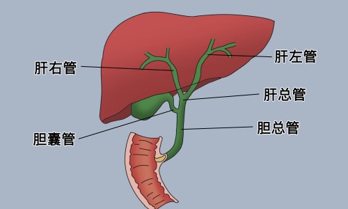 胺水价格-【安徽氨水价格】瓶装氨气价格 - 铵水瓶装价格网