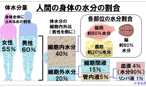 安徽氨水价格-【安徽氨水价格】瓶装氨气价格 - 铵水瓶装价格网